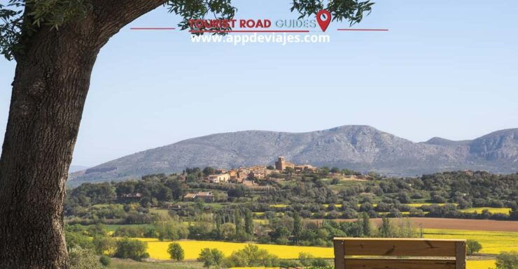 From Barcelona: Tour Private Besalu, Dalí & Wine Tasting - Good To Know