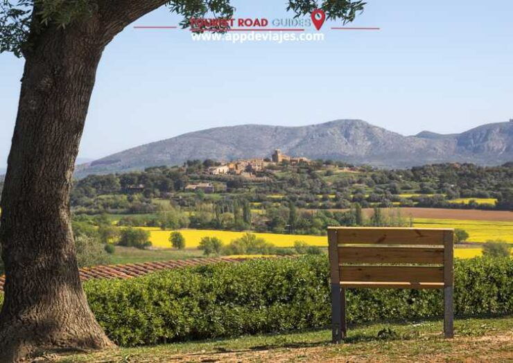 From Barcelona: Tour Private Besalu, Dalí & Wine Tasting - Besalús Historic Charm