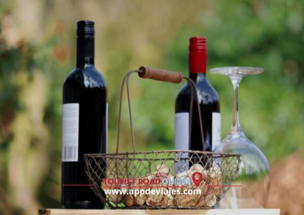 From Barcelona: Tour Private Dalí, Cadaqués & Wines - Additional Information