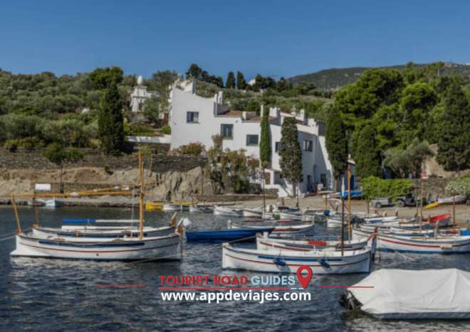 From Barcelona: Tour Private Dalí Port Lligat & Cadaques - Dalí Theatre and Museum in Figueres