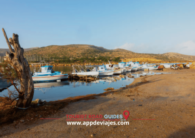 From Barcelona: Tour Private Dalí Port Lligat & Cadaques - Casa-Museu Salvador Dalí in Port Lligat