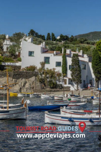 From Barcelona: Tour Private Dalí Port Lligat & Cadaques - Inclusions and Additional Information