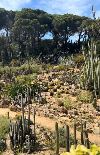 From Barcelona: Wine Tasting Tapas. MARIMURTRA Garden Blanes - Cultural and Historical Context