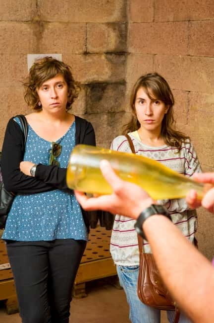 From Barcelona:Penedès Wine&Cava half-day trip with Workshop - Good To Know: