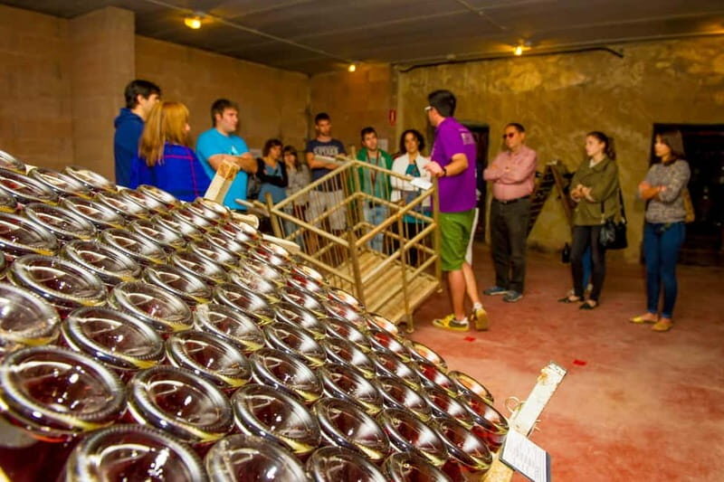 From Barcelona:Penedès Wine&Cava half-day trip with Workshop - Authenticity and Quality