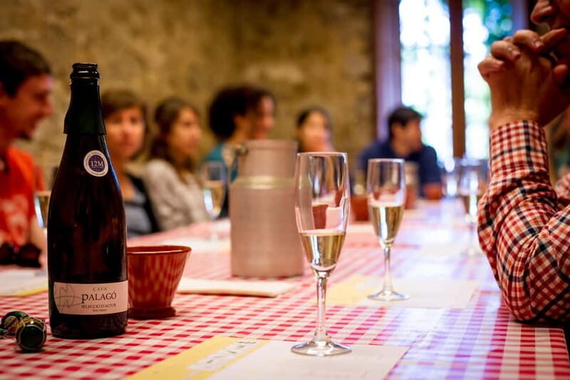 From Barcelona:Penedès Wine&Cava half-day trip with Workshop - Practical Tips for Participants