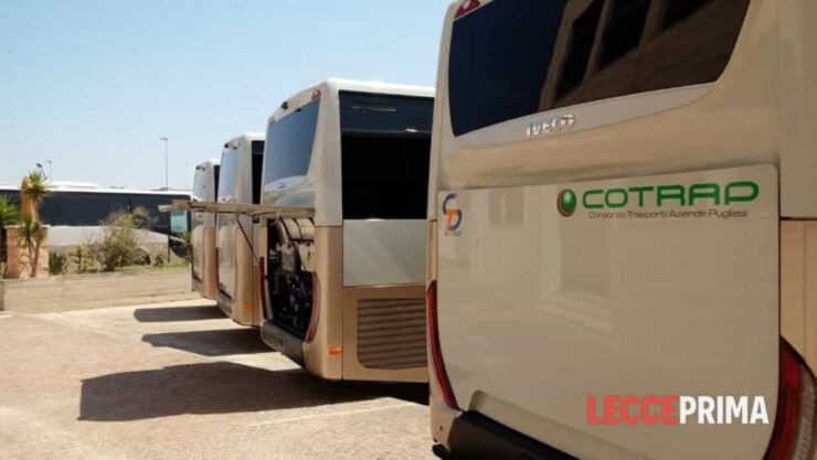 From Bari Airport: Shared Transfer To/From Salento Airport - Affordable and Stress-Free Travel Experience