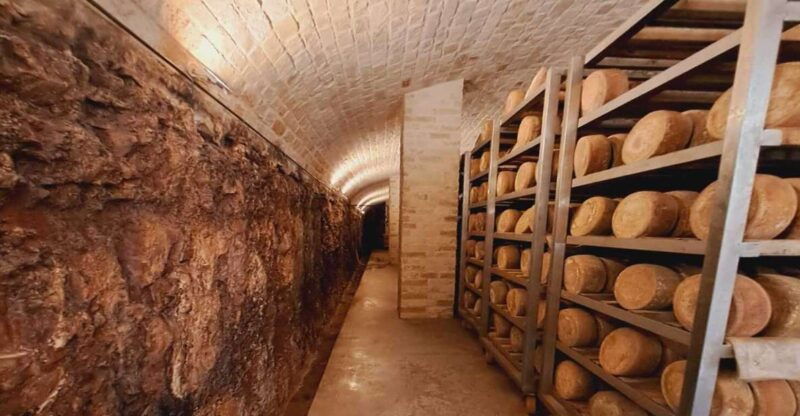 From Bari: Burrata cheese experience in a local dairy farm - Good To Know