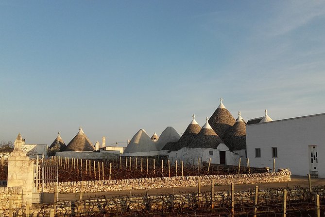 From BARI or OSTUNI to Central Puglia Wonders Tour ! - Tour Highlights