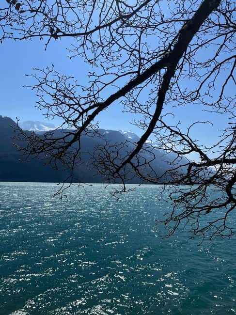 From Basel: Alps, Waterfalls and Lakes Private Car Tour - An In-Depth Look at the Itinerary