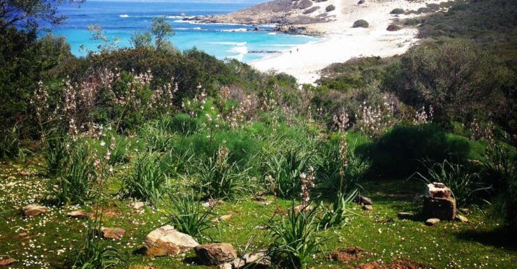 From Bastia: Off-Road Agriates Desert and Beach Excursion - Experience Highlights