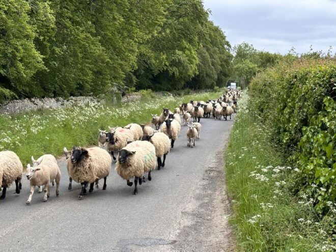 From Bath: Cotswolds Private Day Tour With Pickup - Highlights of the Cotswolds Tour