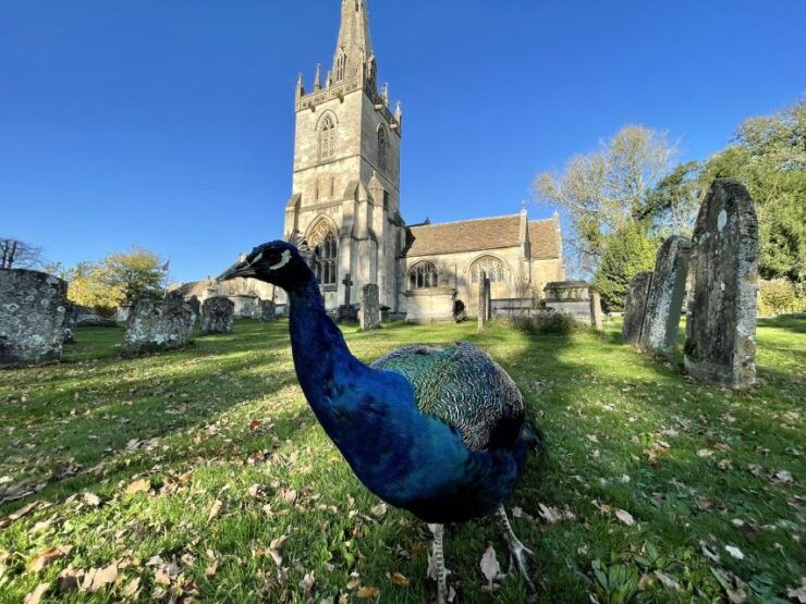 From Bath: Private Tour to Serene Cotswolds With Pickup - Activity Details