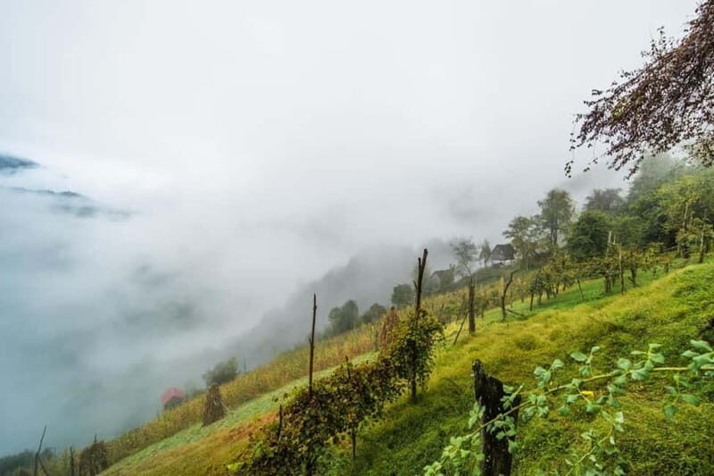 From Batumi: Songs & Flavors of Merisi Village - Good To Know