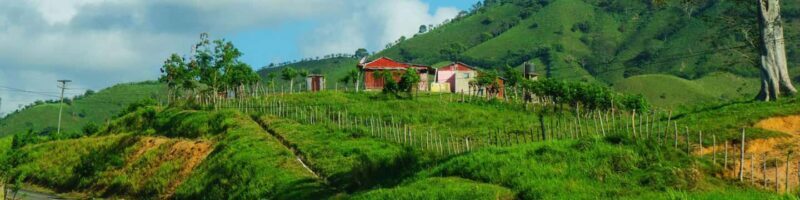 From Bávaro: Higüey Tour with Ranch Horse Ride and Lunch - Discover Higüey’s Cultural and Natural Treasures