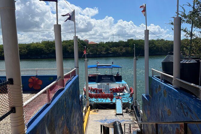 From Bayahibe - Half Day Exploring Catalina Island with snorkel - Who Is This Tour Best For?