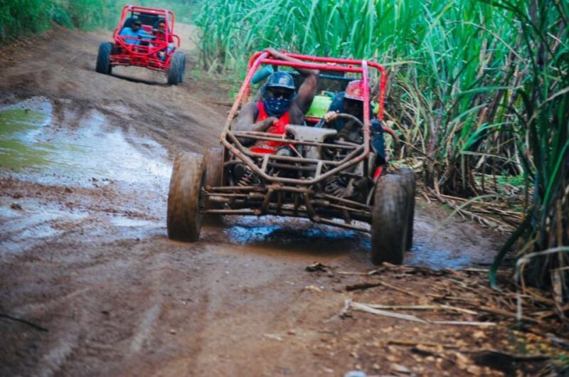 From Bayahibe: Half-day La Romana ATV or 4X4 Buggy Tour - Who Will Love This Tour?