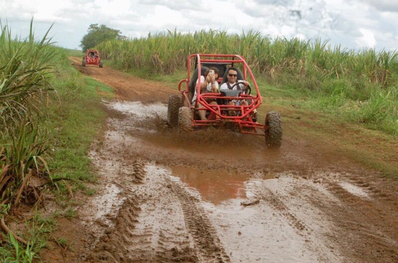 From Bayahibe: Half-day La Romana ATV or 4X4 Buggy Tour - FAQ