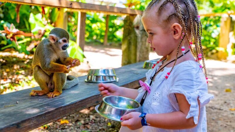 From Bayahibe: Half Day Monkeyland Safari - Exploring the Itinerary: What You Can Expect