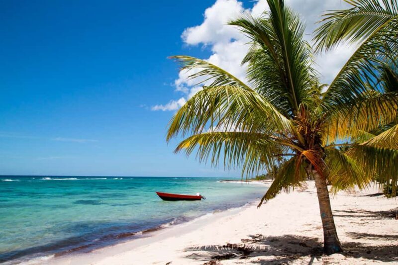 From Bayahibe: Saona Island Beach and Sunset Catamaran Party - The Sum Up