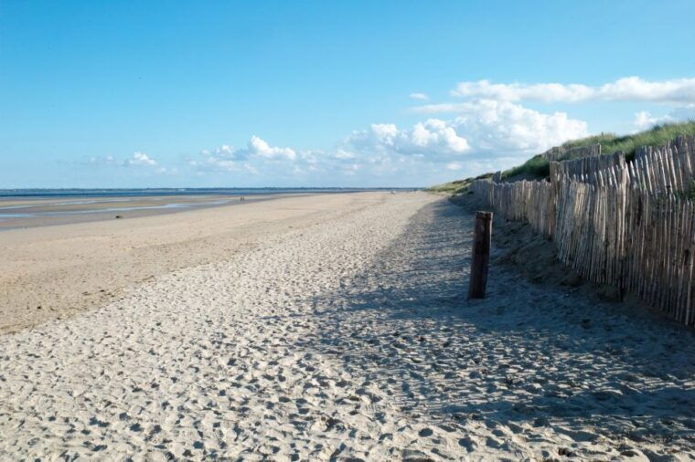 From Bayeux: American D-Day Sites in Normandy Full-Day Tour - Key Sites to Visit