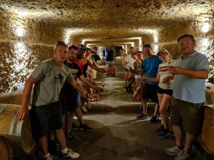 From Beaugency: 5-Day Bike Tour of the Loire Vally Wineries - Overall Experience