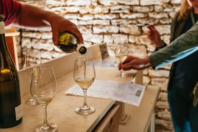 From Beaune: Burgundy 10 Wines Grand Cru Tasting Day Trip - Highlights