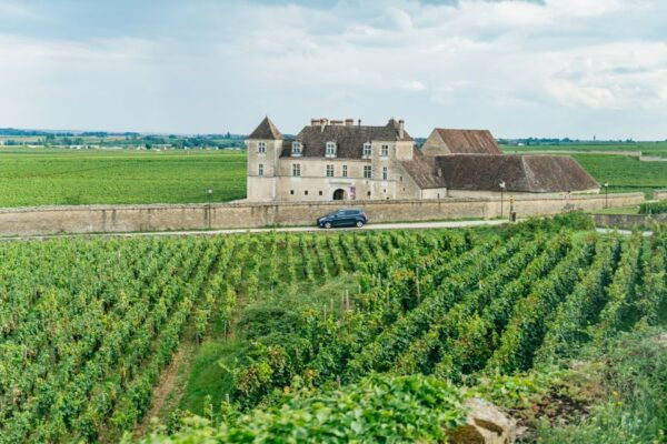 From Beaune: Burgundy 10 Wines Grand Cru Tasting Day Trip - Customer Reviews