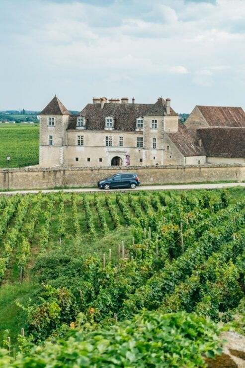 From Beaune: Burgundy Day Trip With 12 Wine Tastings - Pricing Information