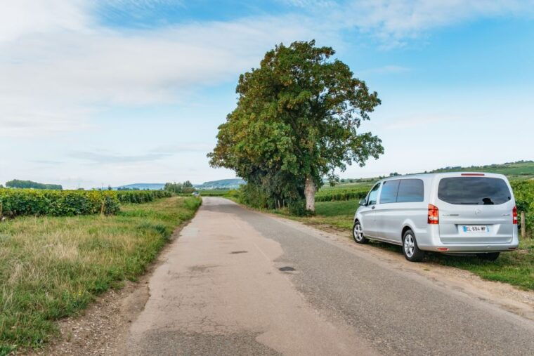 From Beaune: Burgundy Day Trip With 14 Wine Tastings - Scenic Drives Along Route Des Grands Crus