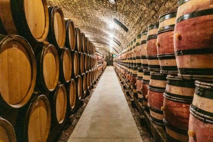 From Beaune: Burgundy Day Trip With 14 Wine Tastings - Tips for Enjoying Your Day Trip