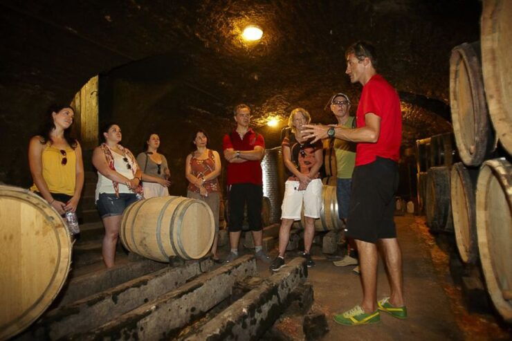 From Beaune: Full-Day Bicycle and Wine Tour in Burgundy - Activity Details