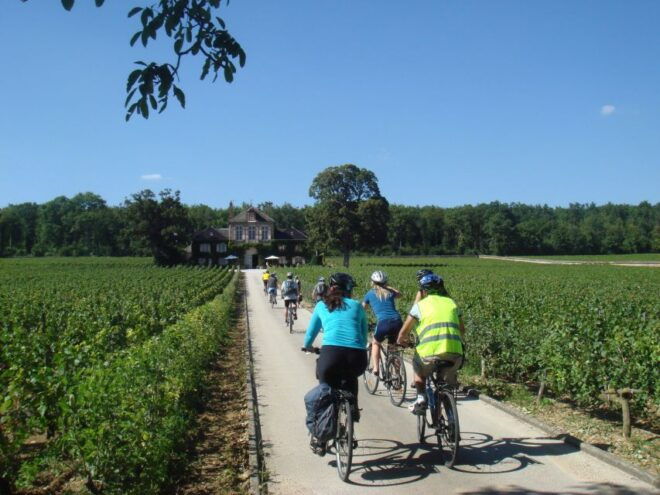 From Beaune: Full-Day Bicycle and Wine Tour in Burgundy - Full Description