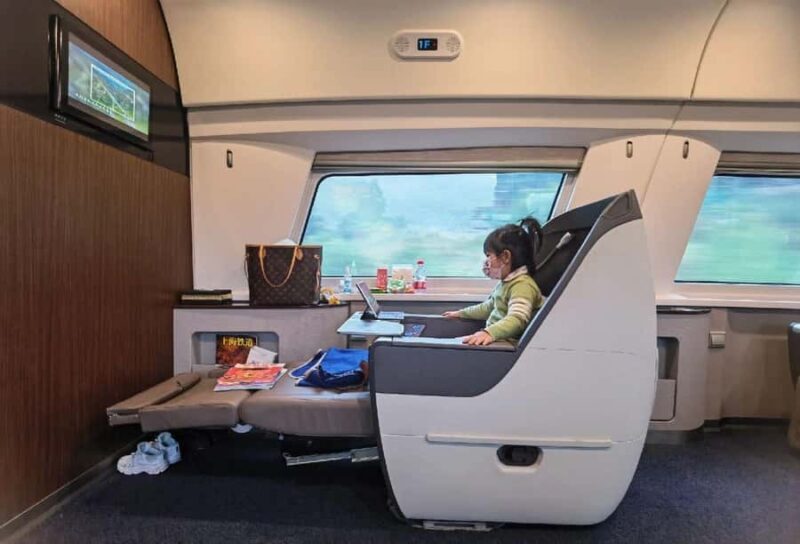 From Beijing: Xi'an Terracotta Army Day Trip by Bullet Train - The Practicalities of the Itinerary