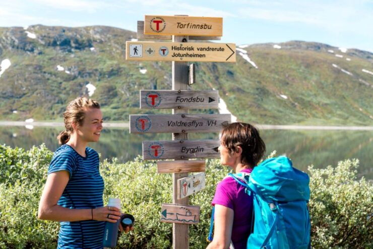 From Beitostolen: Svartdalen – a Day in Jotunheimen Tour - Tour Overview