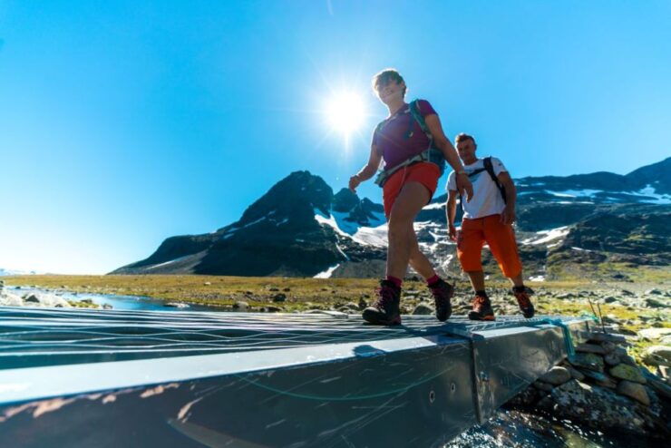 From Beitostolen: Svartdalen – a Day in Jotunheimen Tour - Activity Details