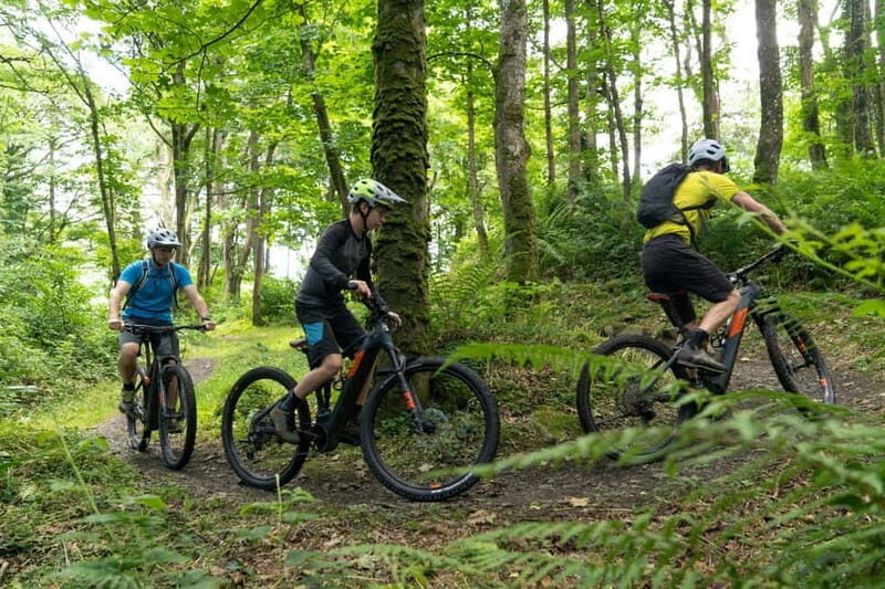 From Belfast: Mountain Bike Experience - The Starting Point: Convenience and Comfort