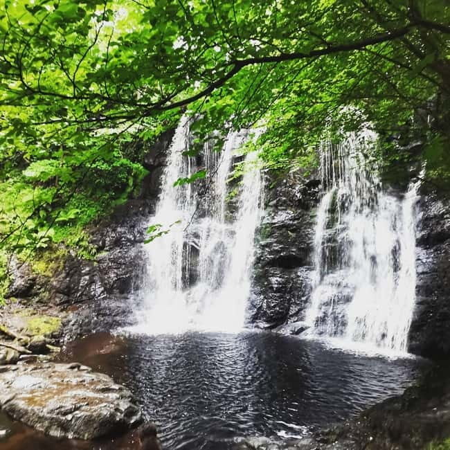 From Belfast: Private Tour of the Glens & Giants Causeway - Good To Know