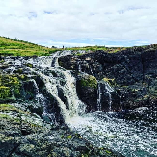 From Belfast: Private Tour of the Glens & Giants Causeway - Final Verdict