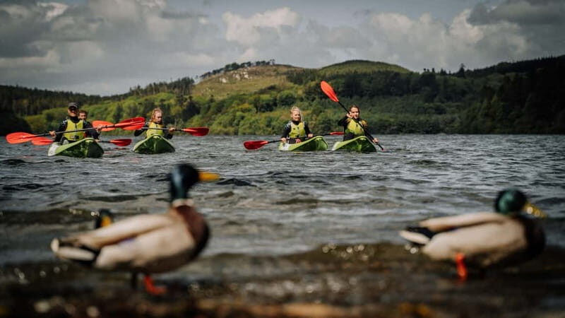 From Belfast : Sit-On-Top Kayak Experience - FAQs
