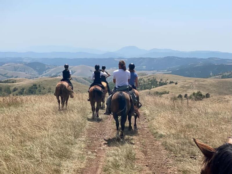 From Belgrade: 6-Day umadija Trail Horseback Riding Tour - Final Thoughts