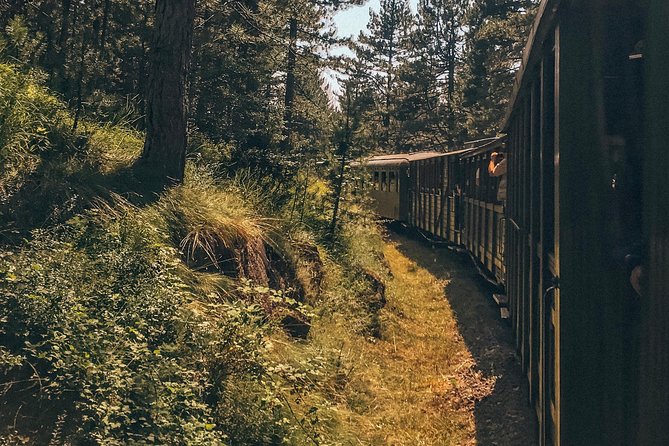 From Belgrade: Drina River House, Mokra Gora and Sargan 8 Railroad Tour - Price and Duration