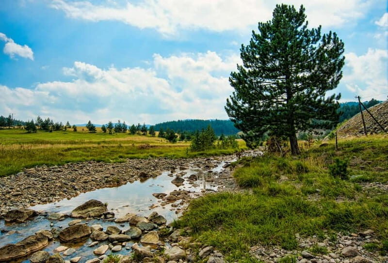 From Belgrade: Full-Day Guided Tour of Zlatibor Mountain - FAQ