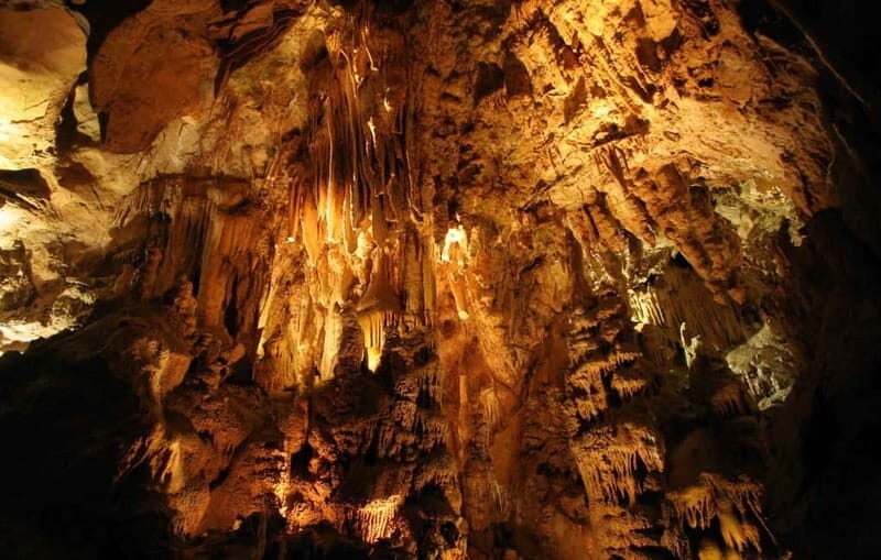 From Belgrade: Manasija Monastery and Resava Cave Tour - Who Is This Tour Best For?