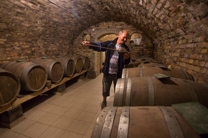 From Belgrade: Novi Sad and Karlovci Sremski Tour - Important Information