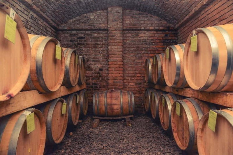 From Belgrade: Novi Sad and Sremski Karlovci Day Trip - Exploring the Northern Serbian Gems