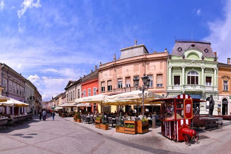 From Belgrade: Novi Sad and Sremski Karlovci Day Trip - Why This Tour Works