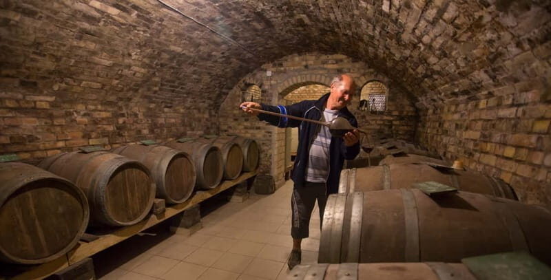 From Belgrade: Novi Sad and Sremski Karlovci Tour - FAQs