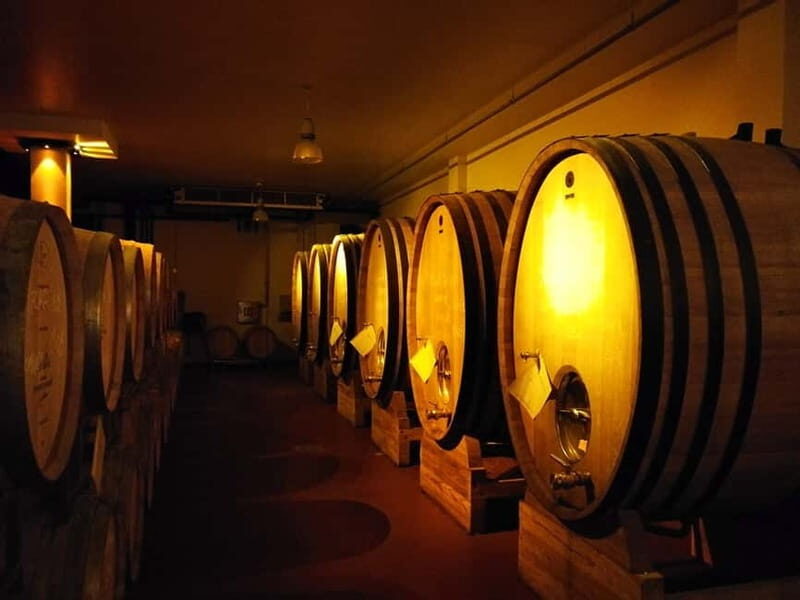 From Belgrade: Subotica and Palic Full-Day Trip with winery - An In-Depth Look at the Journey