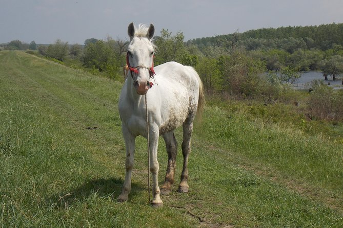 From Belgrade to PančEvo - Into the Wild - Cycling Tour Highlights